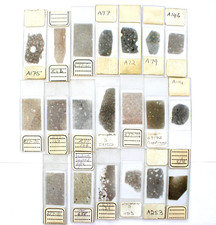  on The Hot Collector