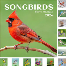 2026 Birds Wall Calendar, Large Blocks, 12" x 24", Jan Dec Monthly Planner