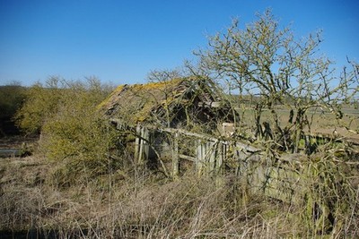 Foto A2 abgebrochener Schweinestall Pfeil neben dem stillgelegten Stall (vorgestellt um 2010