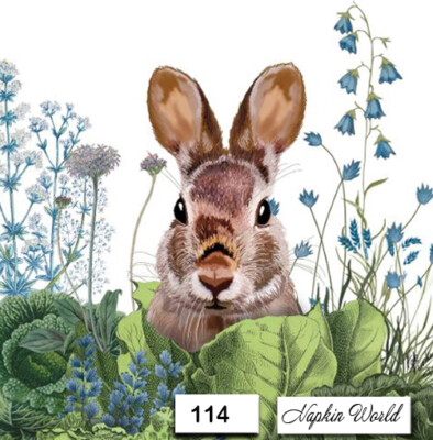 (114) TWO Paper LUNCHEON Decoupage Art Craft Napkins - BUNNY RABBIT EASTER HARE