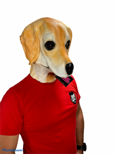 Golden Labrador Mask Latex Animal Dog Masks Costume Accessory Canine Lab Puppy - Picture 5 of 11