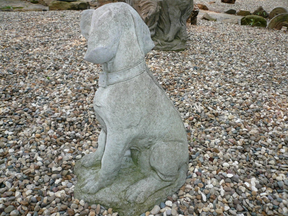 REGAL YOUNG HUNTING DOG VINTAGE CEMENT/CONCRETE GARDEN ORNAMENT 15" TALL - Image 3 of 4