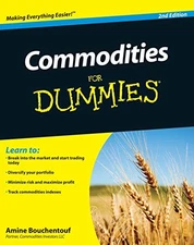 COMMODITIES FOR DUMMIES By Amine Bouchentouf *Excellent Condition*