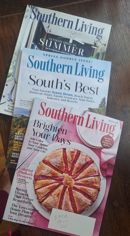 Lot Of 3 Southern Living Magazines 2022