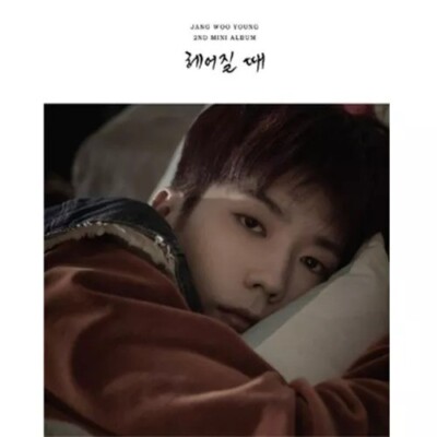 2PM JANG WOO YOUNG [헤어질 때/TIME TO BE APART] 2nd Mini Album CD+Foto Buch+2 Karte