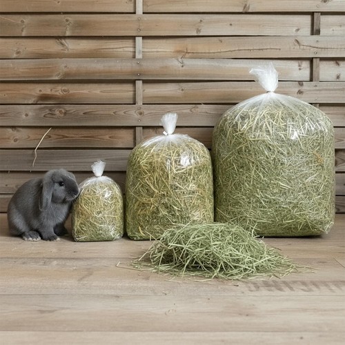 Erba Medica (Alfalfa) 1kg | Fieno Ricco di Fibre, Proteine e Calcio | Conigli - Foto 2 di 4