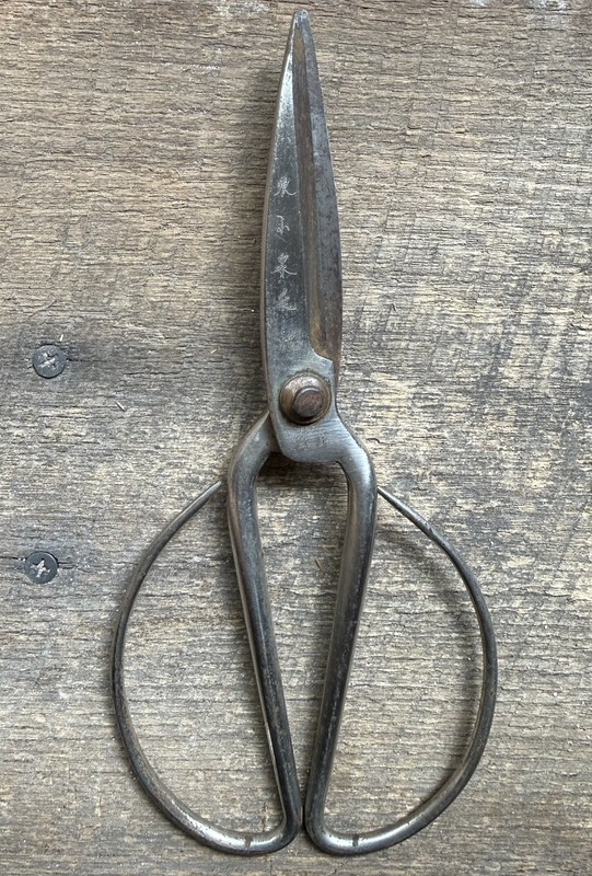 Bonsai Pruning Shears Utility Scissors Antique 'Signed'