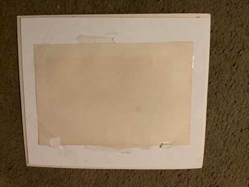 Fine Art Print Depicting Zebras, 19th Century Style, Vintage, Matted Not Framed - Picture 2 of 3