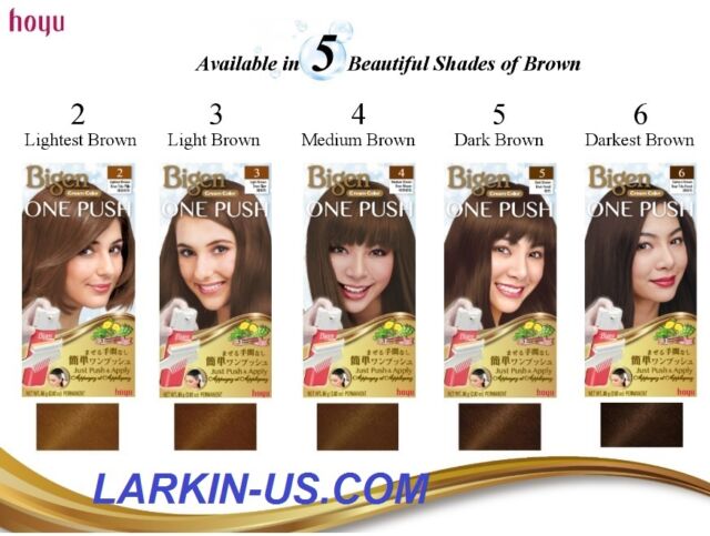 Bigen One Push Hair Color Chart