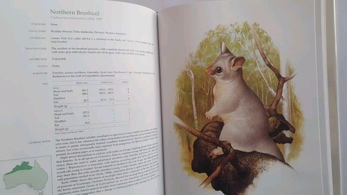 Possums of the World by Tim Flannery, GEO & Australian Museum 1994 1st HB Scarce - 第 12/15 張圖片