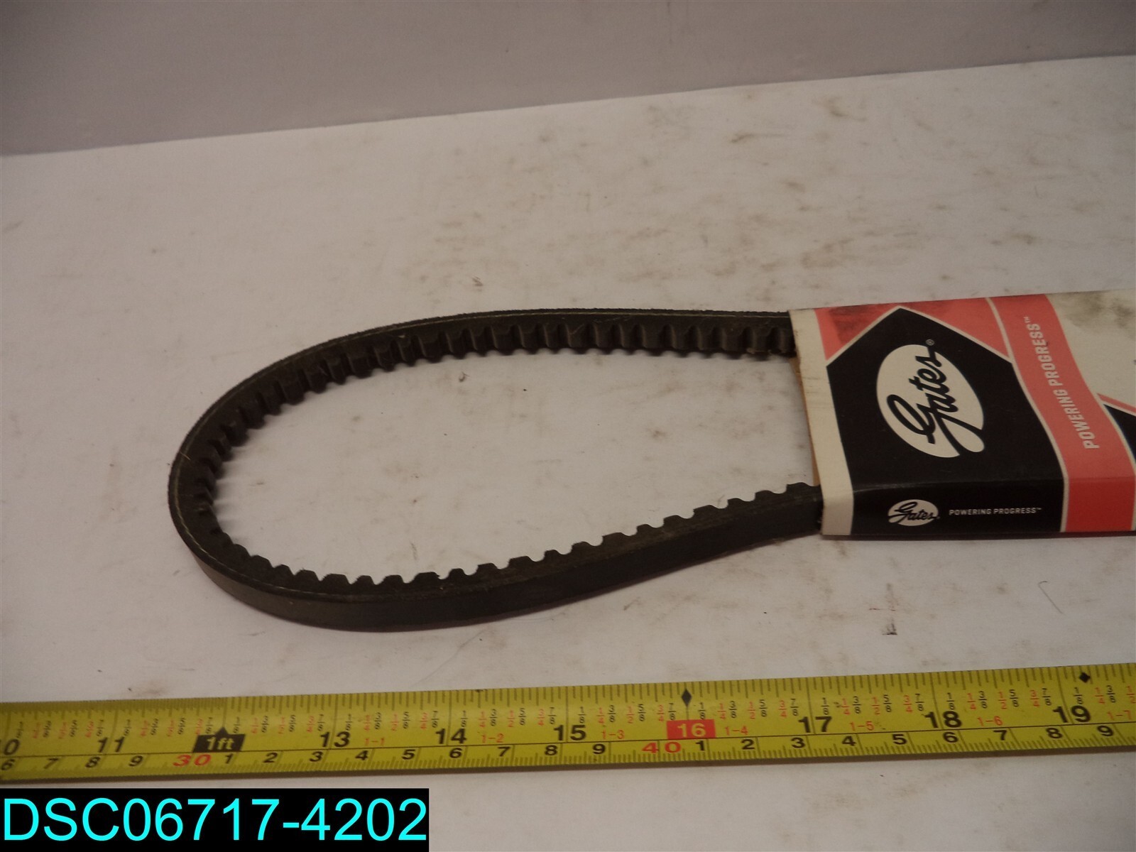 Gates 7430 Accessory Drive Belt 072053012774 eBay