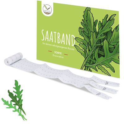 5m Saatband Rucola Samen (Eruca sativa) - Aromatisch, nussige Salatrauke 