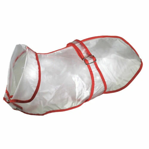 Guinzagli bianchi per cani