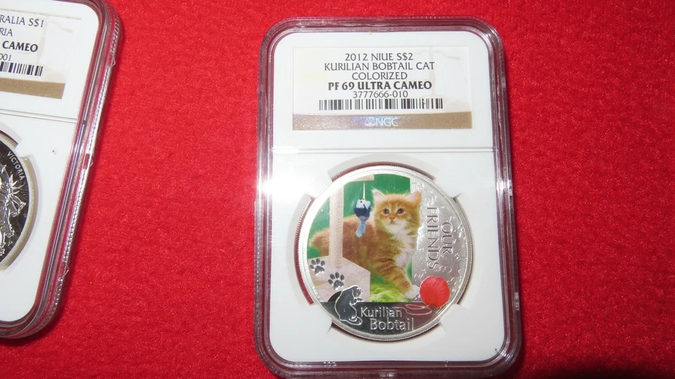 Moneda Niue Kurilian Bobtail 2012 1 oz 999 plata gato gatito NGC PR 69 ultra camafeo Foto 4 de 4
