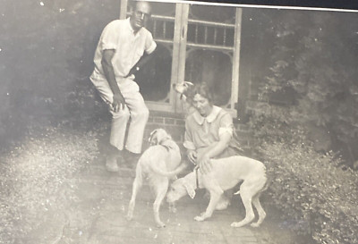 1920s Man & Woman Petting Three Dogs Brick Steps Sidewalk Original Photo P17g2