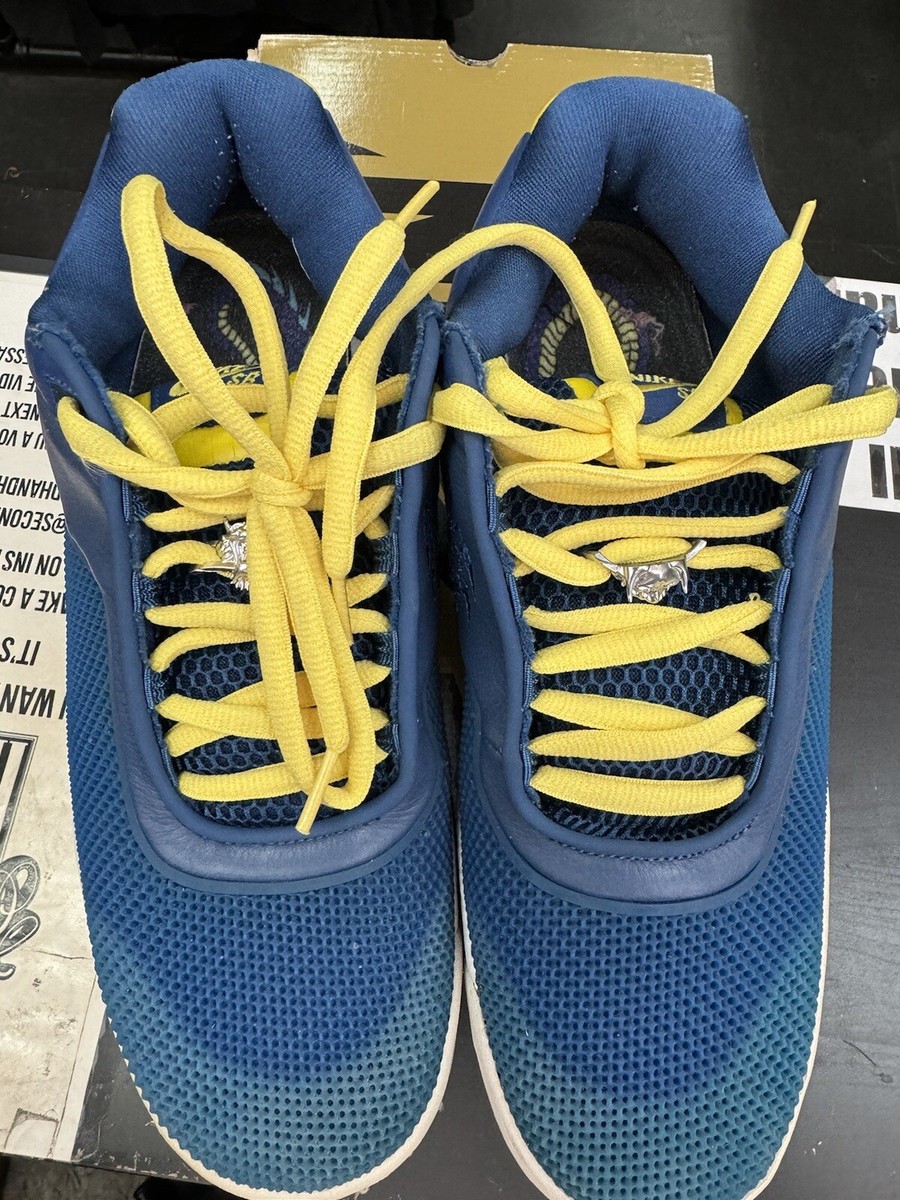 Size 12 - Nike Zoom Tre Blue Dragon | eBay