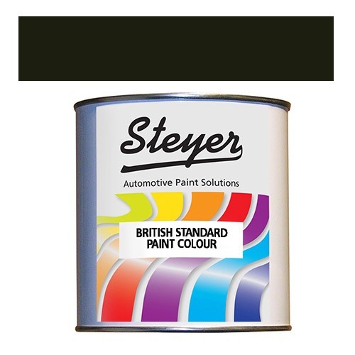 Nato Green Semi Matt Synthetic Quick Drying Car Paint Colour BS 285