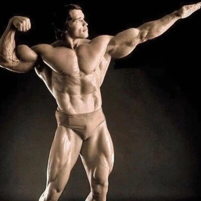 Iconic  Large Photo Bodybuilder Arnold Schwarzenegger Good Condition 