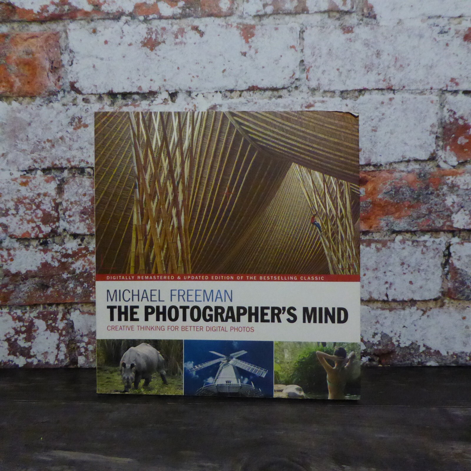 The Photographer's Eye: Composition and Design for Better Digital Photographs