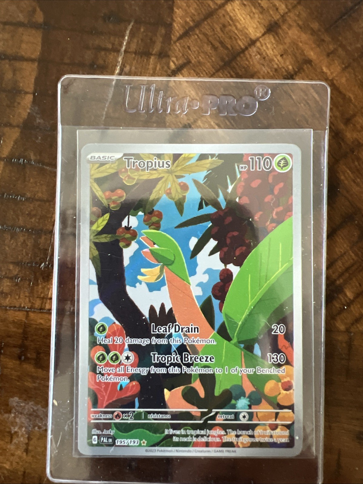 Tropius 195/193 Pokémon TCG Paldea Evolved Holo Illustration
