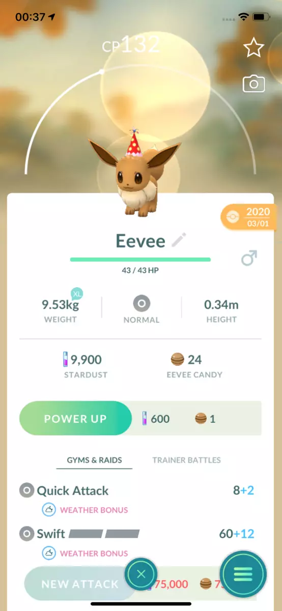 Party Hat Eevee Pokémon Go