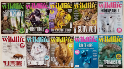 10 BBC Wildlife Magazines Feb Mar Apr Spring Oct Nov Dec 2022 Feb July Aug 2023