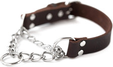Martingale Dog Collar - No Pull Design - Stainless Steel Chain - Limited Chain C