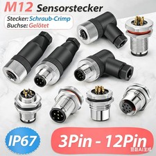 M12 Sensorstecker 3/4/5/6/8/12 polig Sensor S...
