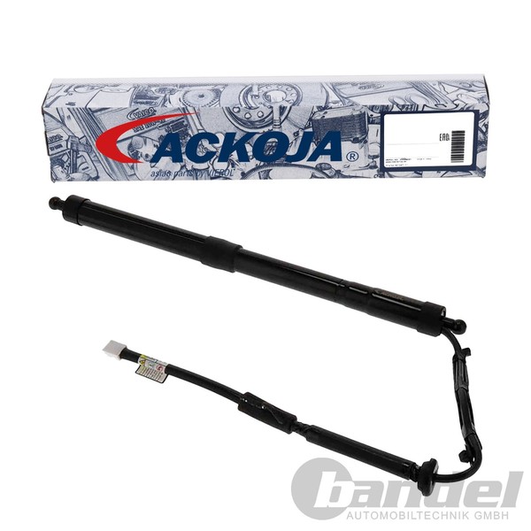 Ackoja Elektrischer Heckklappen Lifter Rechts Passend FüR Toyota Rav | A70-55-00-image