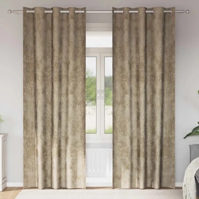 Rideaux en velours avec des rideaux 2 pc Velours assombrissants salon vidaXL vid - Photo 1/4