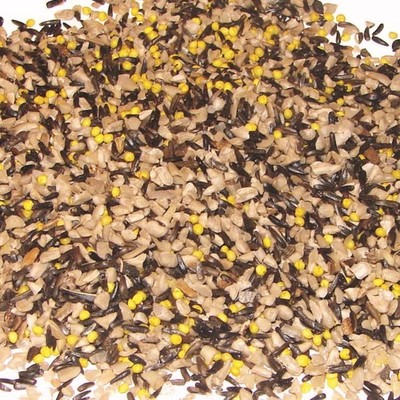 Wild Delight 373050 Sunflower Kernels Wild Bird Food 5 lbs. (Pack of 3)