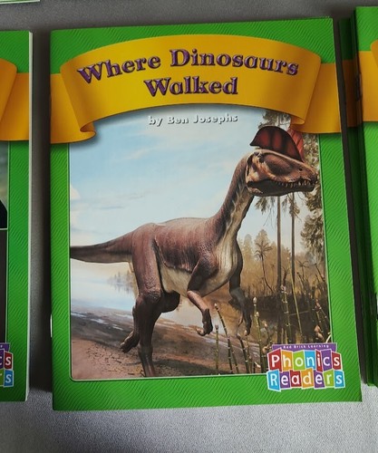 Set of (12) - Red Brick Learning Phonics Readers - Set C - Educational Booklets - Picture 12 of 13