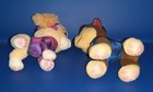 Bild 3 von 3