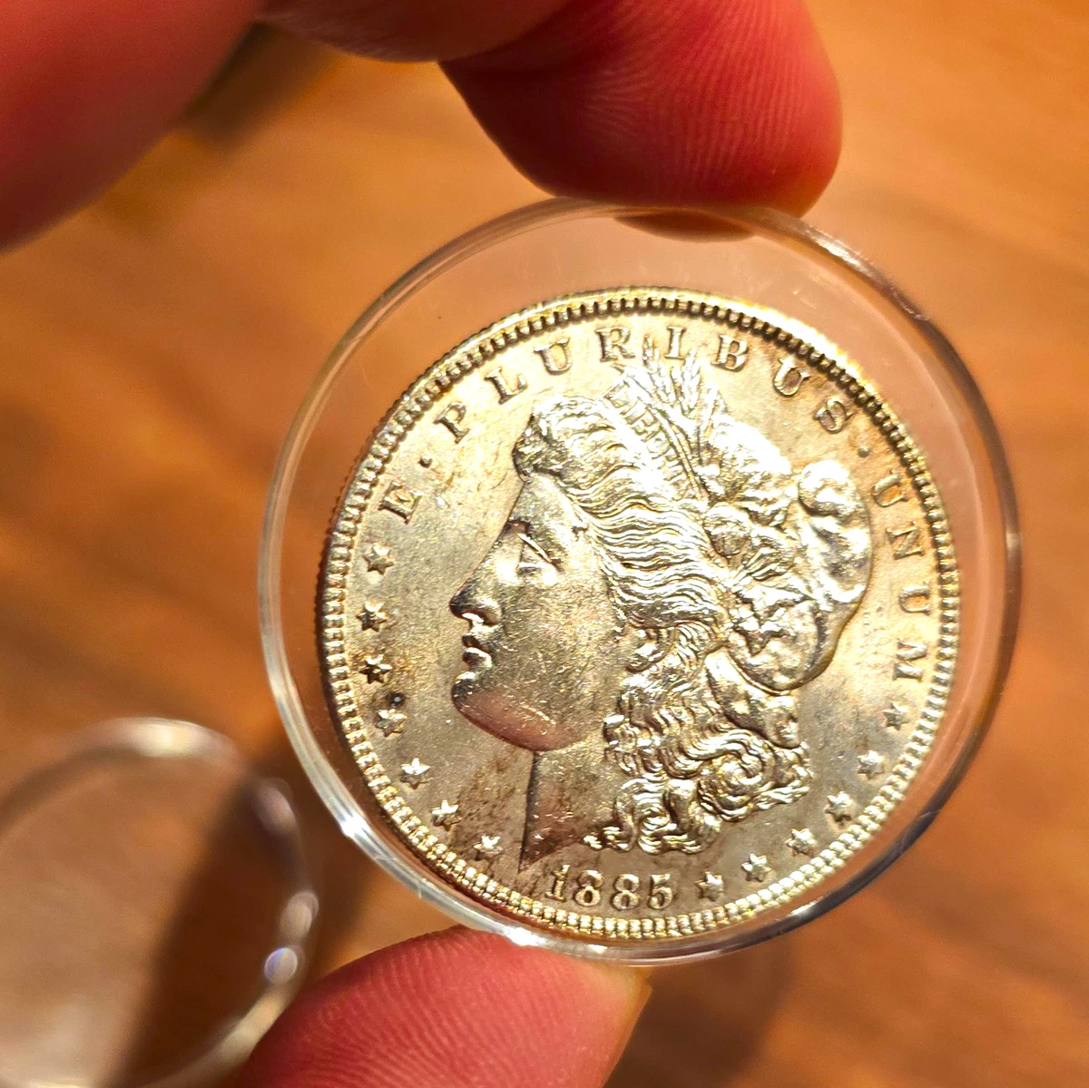 25+ Morgan US Dollars 1885 for sale | Updated Oct 2026
