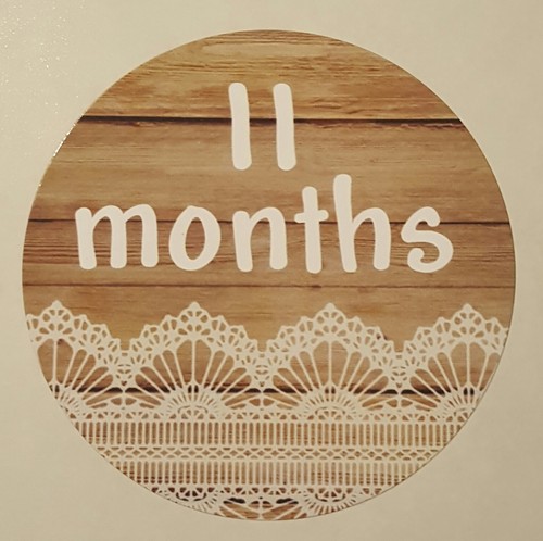 Wood w/ Lace - Baby Milestone Stickers - Months 1-12 - 2.5" Round Glossy Labels - Picture 11 of 12