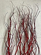 Curly Ting Pack of 10 Stems 24in Red