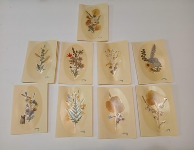Montag's Regency Pressed Flower Notecards Set Of 10 Handmade Floral Vintage