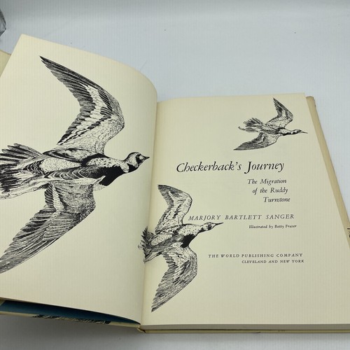 Checkerback's Journey: The Migration Of The Ruddy Turnstone Sanger 1st Ed. HC/DJ - Picture 7 of 13
