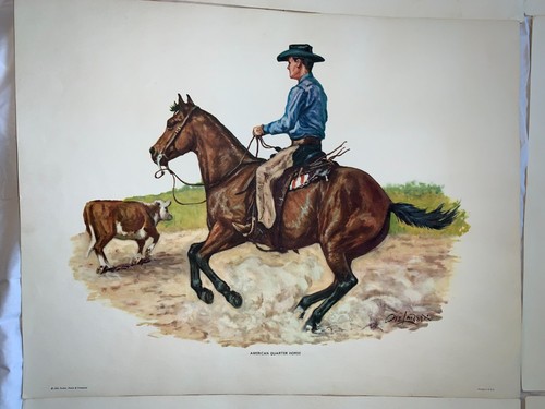 Set/Lot 6 Vintage 1964 Pferde Reiter Litho Bild Kunstdruck 18x14" - Ole Larsen - Bild 5 von 13
