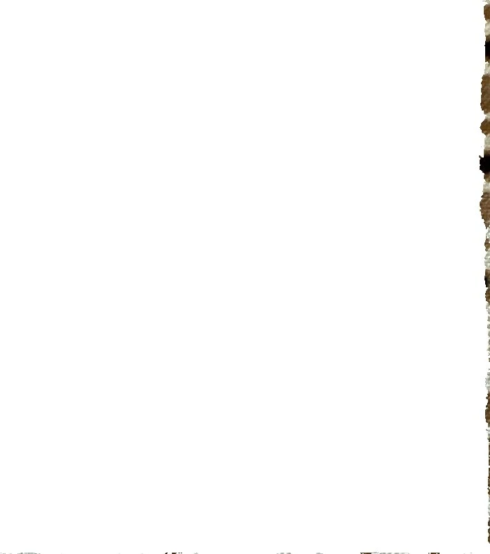 Cotton Cushion Textured Fabric