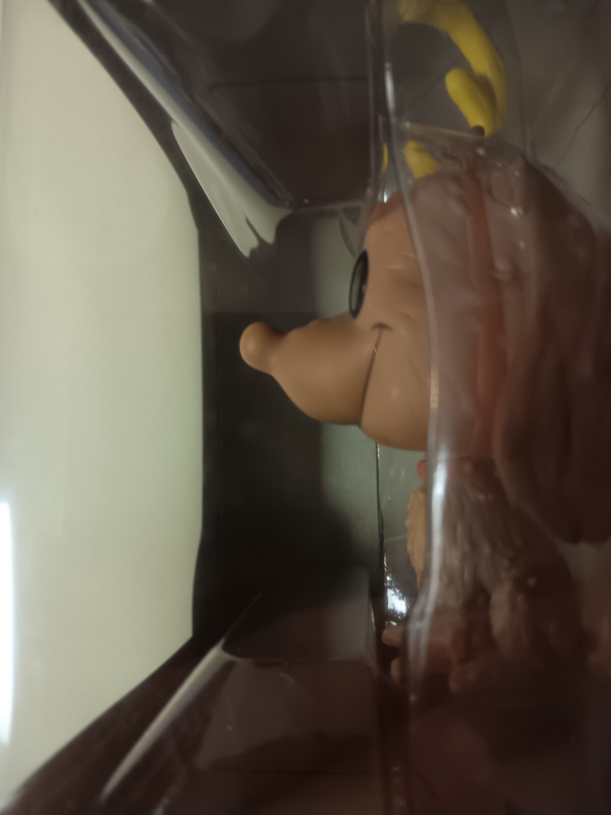 Picture 12 of 13