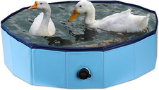 Foldable Duck Pool, Portable Hard Plastic Pond Tub, Collapsible for Pets