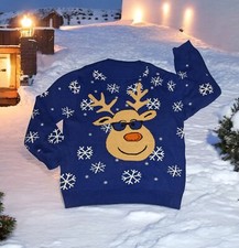 RUDOLPH THE RED NOSE REINDEER Purple UGLY Christmas Sweater Snowflake Women's XL