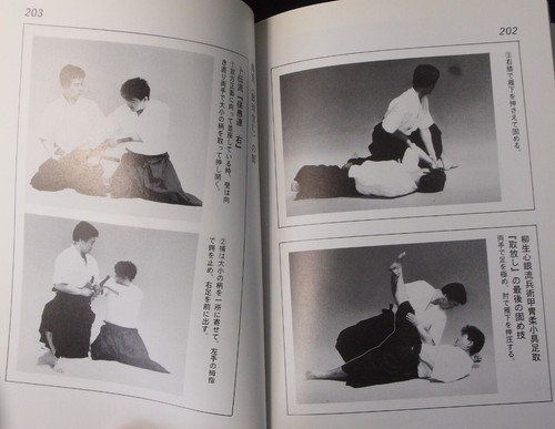 JAPANESE MARTIAL ARTS BOOK HIDEN ATEMI JUTSU JUN OSANO SELF DEFENSE 1998 USED - Picture 17 of 24