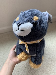 amuse collection shiba