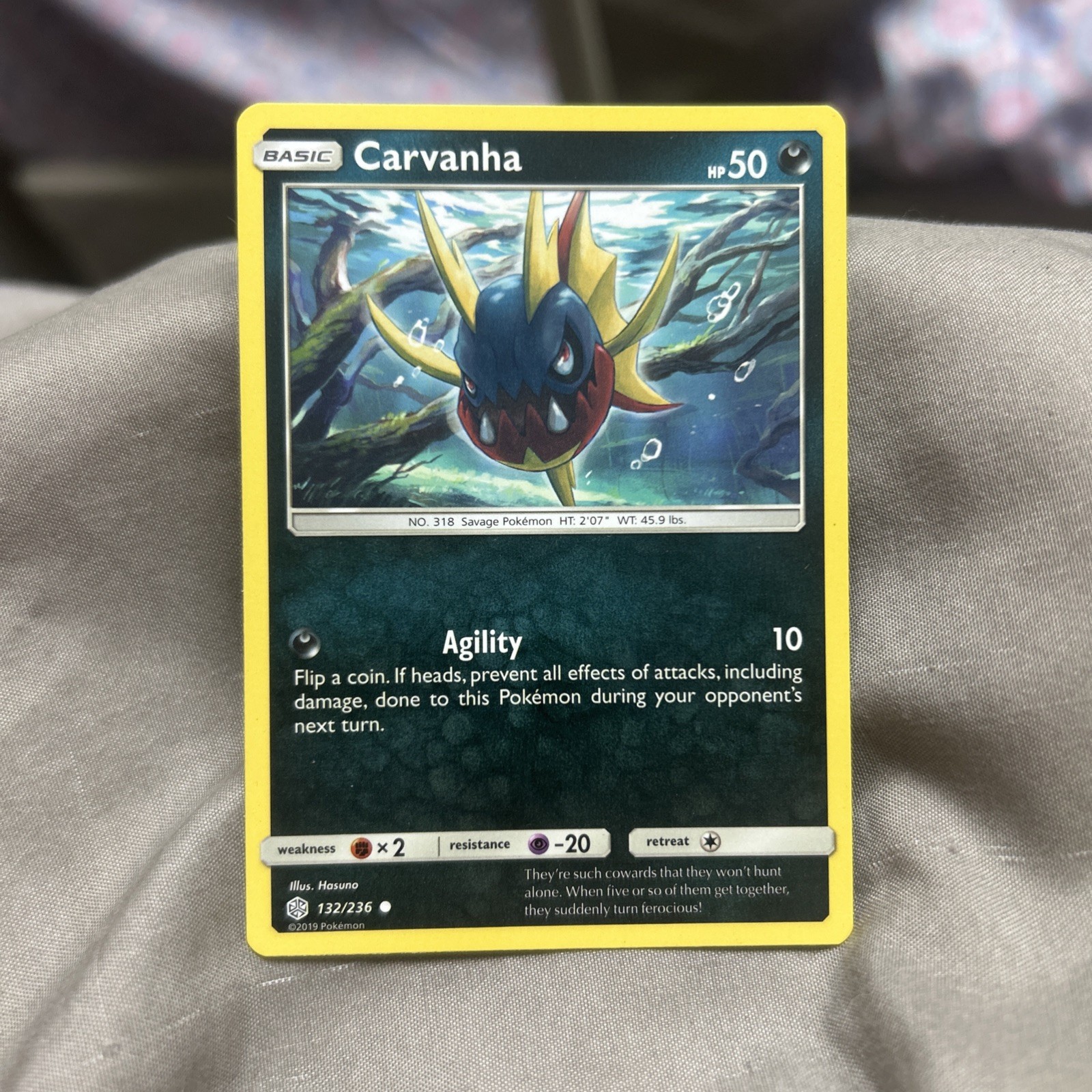 Carvanha Pokemon Card