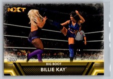 Billie Kay 2017 Topps WWE Then Now Forever Finishers and Signature Moves #F-42