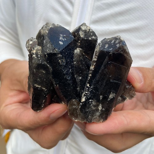 290G Natural Smoky Black Quartz Crystal Cluster Raw Mineral Specimen