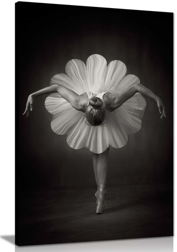 Edle Ballerina in weißem Blumenrock gerahmt Leinwanddruck Wandkunst Wohnkultur - Bild 1 von 6