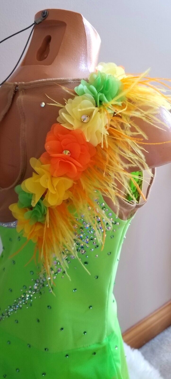 Imagen 5 de 15